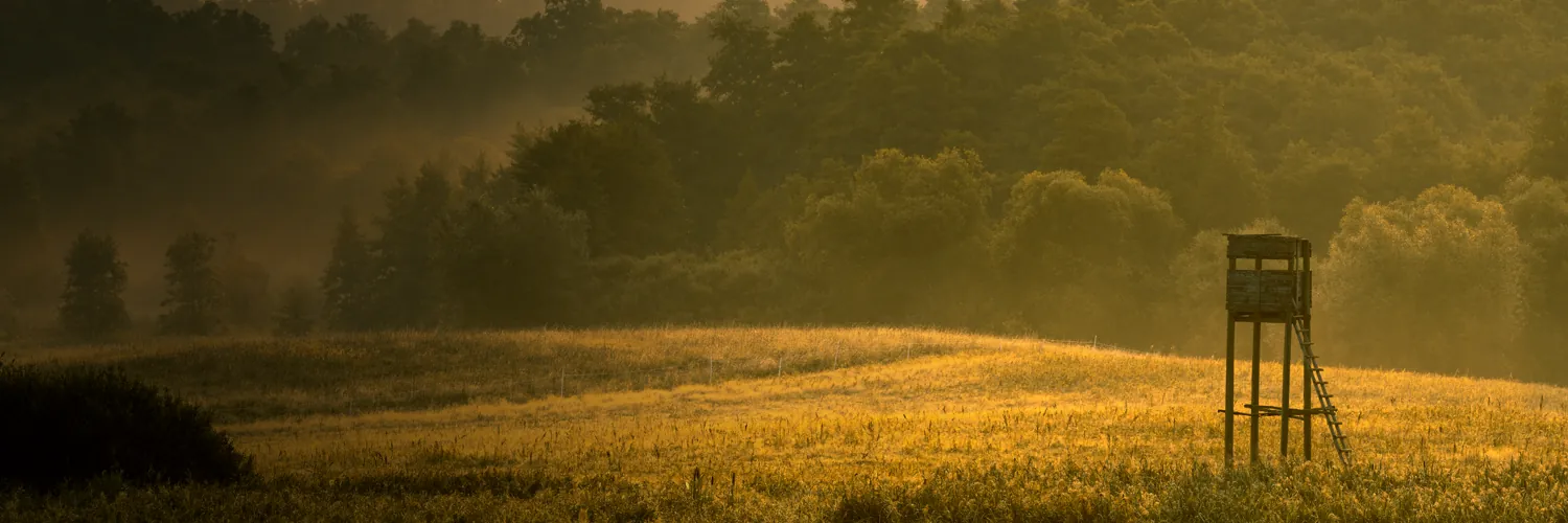 Puesto de caza al amanecer en una finca