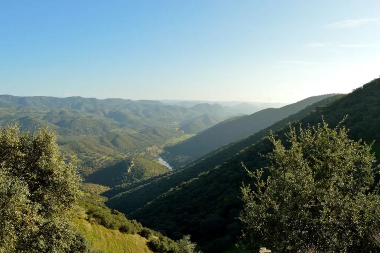 Paisaje de dehesa en Sierra Morena, Córdoba
